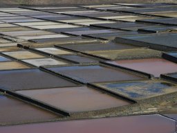 La_Palma_Lanzarote_2003-2004-013